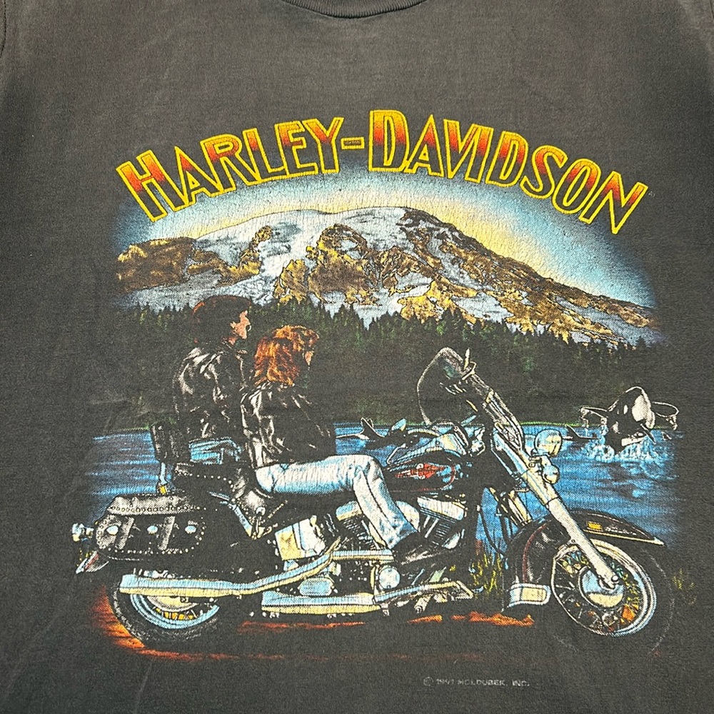 Harley Davidson Fargo North Dakota Tank